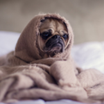 Опалювальний сезон