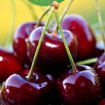 черешня