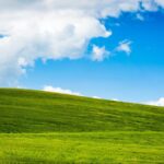 Windows XP