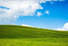 Windows XP