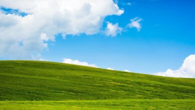 Windows XP