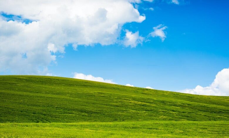 Windows XP